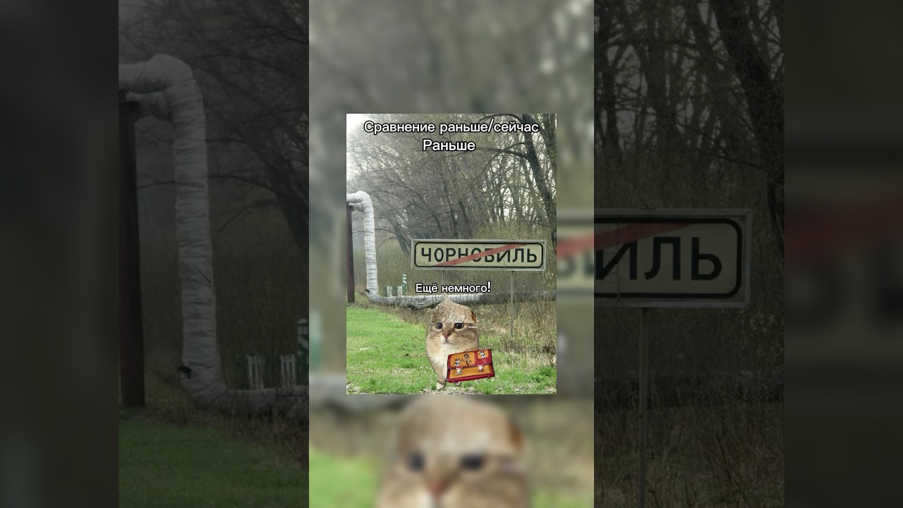 Жду тебя в своём тгк в шапке профиля 