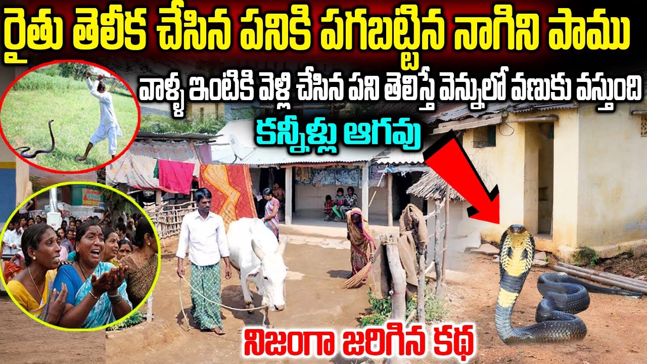 Interesting Story In Telugu | ఈ కథ ఒక్కసారి వింటే చాలు మీ ఇంట్లో డబ్బే డబ్బు,మీ కష్టాలు అన్నీ పోతాయి