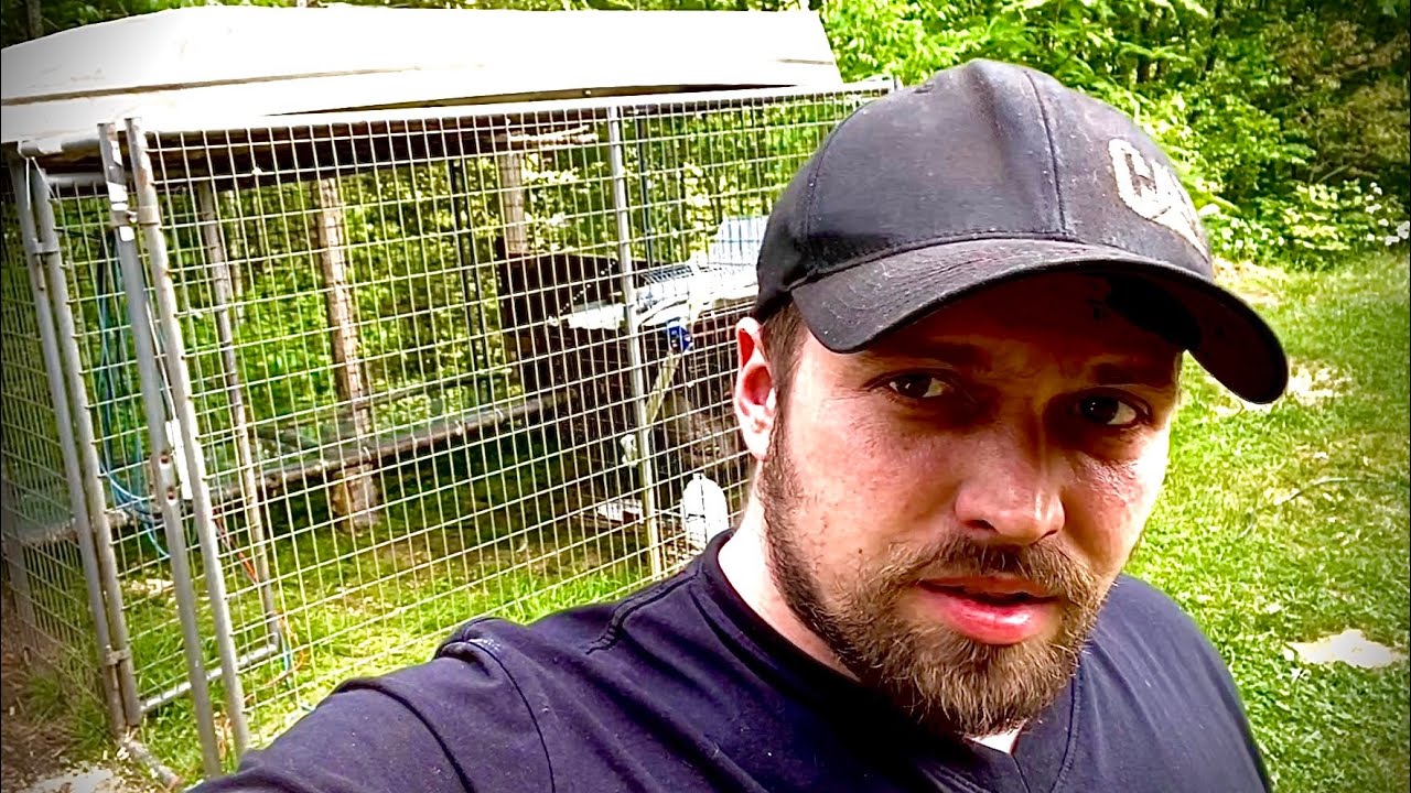 Chicken BREEDING pen setup! I want opinions from other YouTubers!