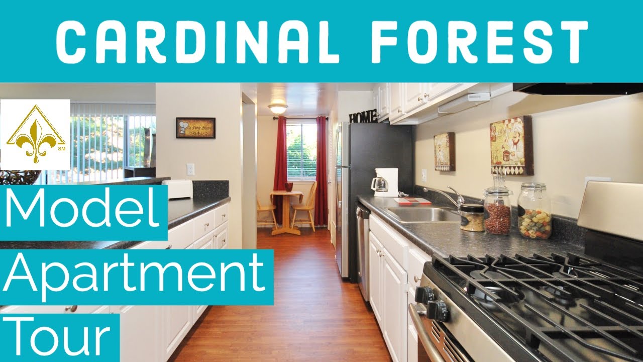 to Cardinal Forest Apartments in Henrico, VA! GSC Apartments YouTube