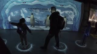VR penguim game - Busan Sea Life Aquarium (3) screenshot 4