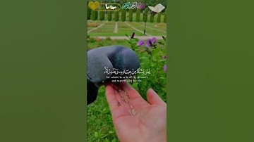 ذكر فإن الذكر تنفع المؤمنين سورة سبأ الآية 39