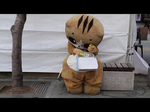 JHKTV] 신촌 명물고양이보물단지오픈shin chon special <strong>cat</strong> Treasure Complex <strong>Open</strong>