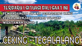 TEMPAT WISATA DI BALI SAAT INI | CEKING TEGALALANG | BALI 2021