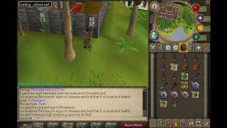Runescape Fruit/Wood tree run guide w/ Commentary PART 1