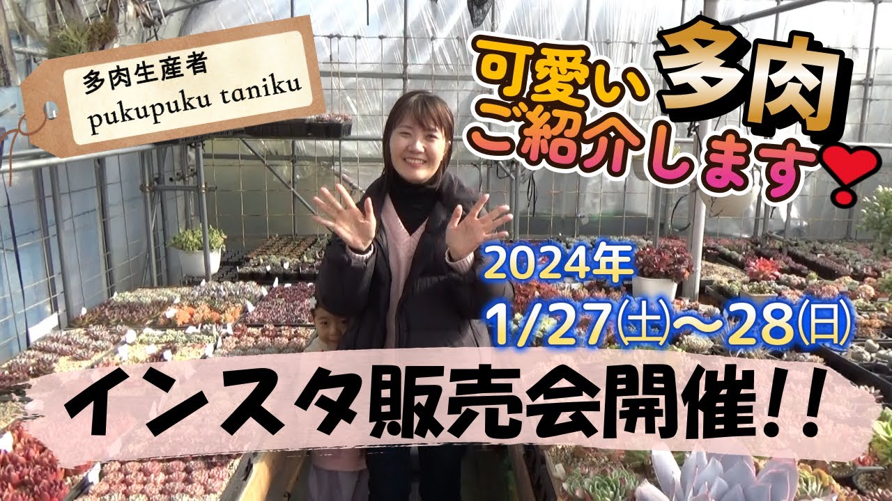 インスタ販売会」開催!! 可愛い多肉ご紹介します♡ 多肉生産者