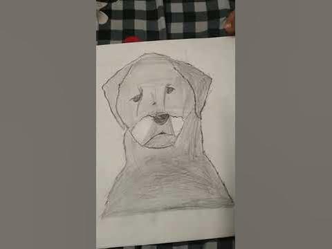 Cartooning club how to draw dog and urshifu - YouTube