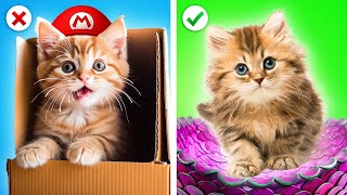 Mario Pet Gadgets & Hacks For Stressed Pet Owners🐱Super Mario Saves a Stray Cat!