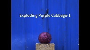 Exploding Purple Cabbage-1 high-speed camera video