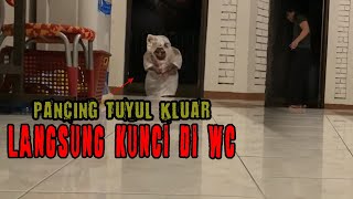PANCING POCONG TUYUL KELUAR!!!