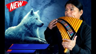 ♦️ FLUTE MUSIC MIX  ♫ ♬ from ECUADOR 🇪🇨 ||► 69 min