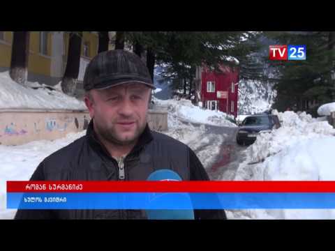 რის მოგვარება ითხოვა ხულოს მოსახლეობამ პეტიციების გზით?