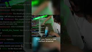 POV: You found a low cortisol streamer #watchjojo #streamer #asmr