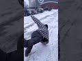 Wait for End 🤣 Funny Video #viral #fyp #trending #fannydance #memes #foryoupage #funny #shorts