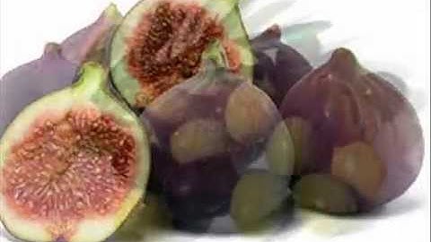 سورة التين وديع اليمني