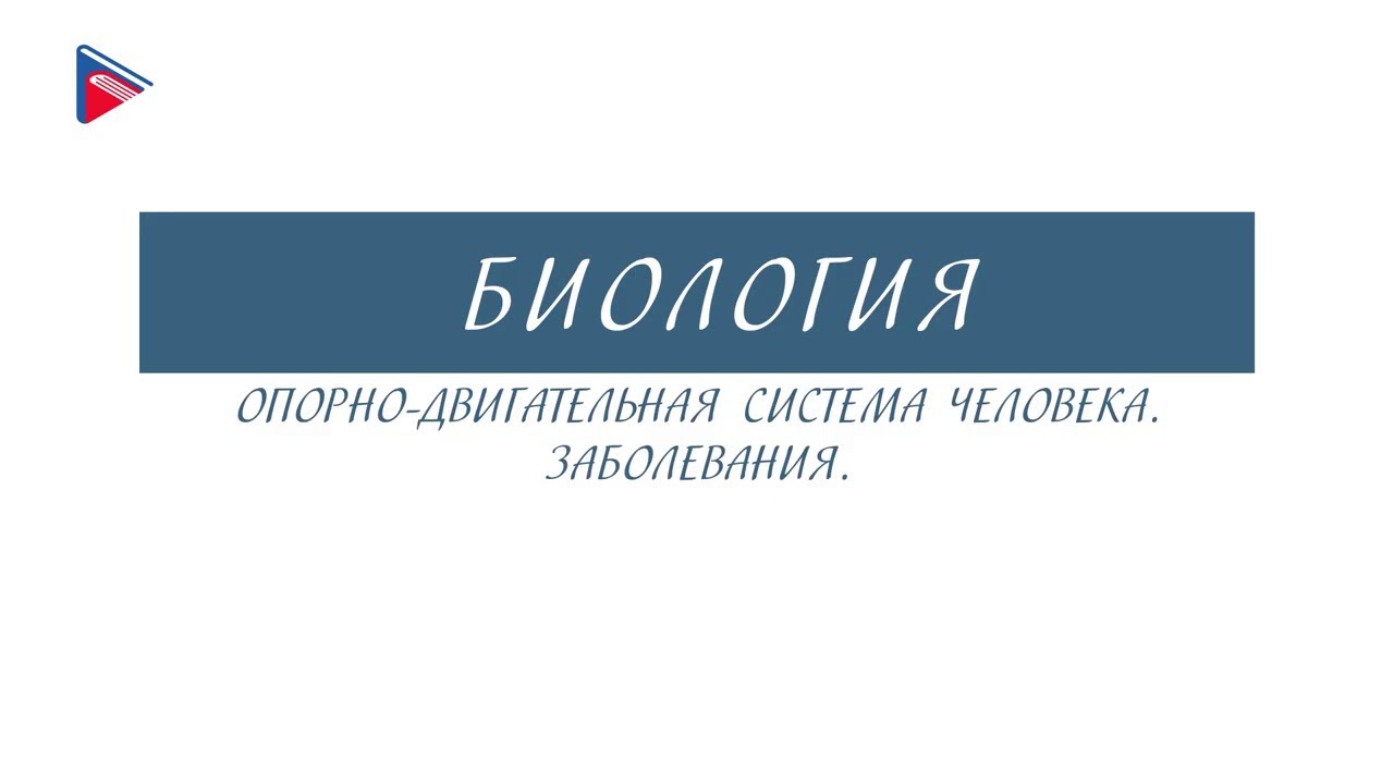 8 класс - Биология - Опорно-двигательная система человека. Заболевания ...