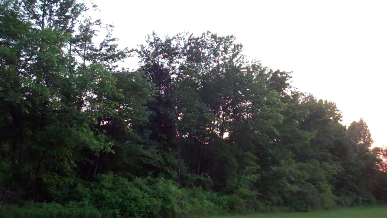 Freedom Park Medford NJ 05292013 8 YouTube freedom-park-medford-nj-05292013-8-youtube