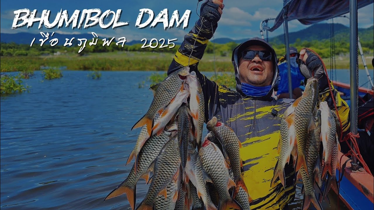ตกปลาเขื่อนภูมิพล เขื่อนที่ฮอตเรื่องปลากระสูบ 