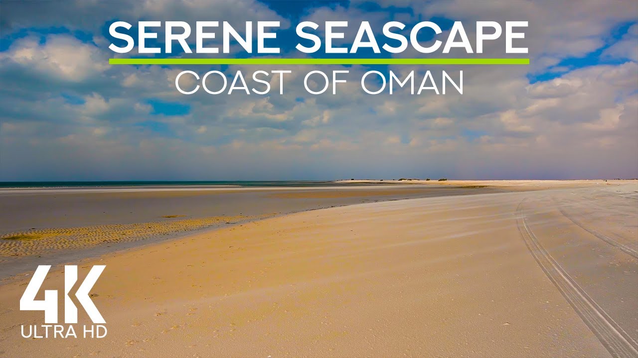 Gentle Waves Sound & Seagulls Squawking - 4K Windy Sea Coast of Oman adlı videoyu YouTube'da izle Gentle Waves Sound & Seagulls Squawking - 4K Windy Sea Coast of Oman adlı videoyu YouTube'da izle