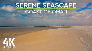 Gentle Waves Sound & Seagulls Squawking - 4K Windy Sea Coast of Oman