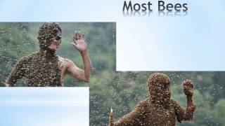 Most amazing world records-Peter-Pecha Kucha Student Presentation Volume 1: Session 3: