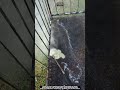 Best Cleaning glass floor at construction site effective working tool pressure washer
