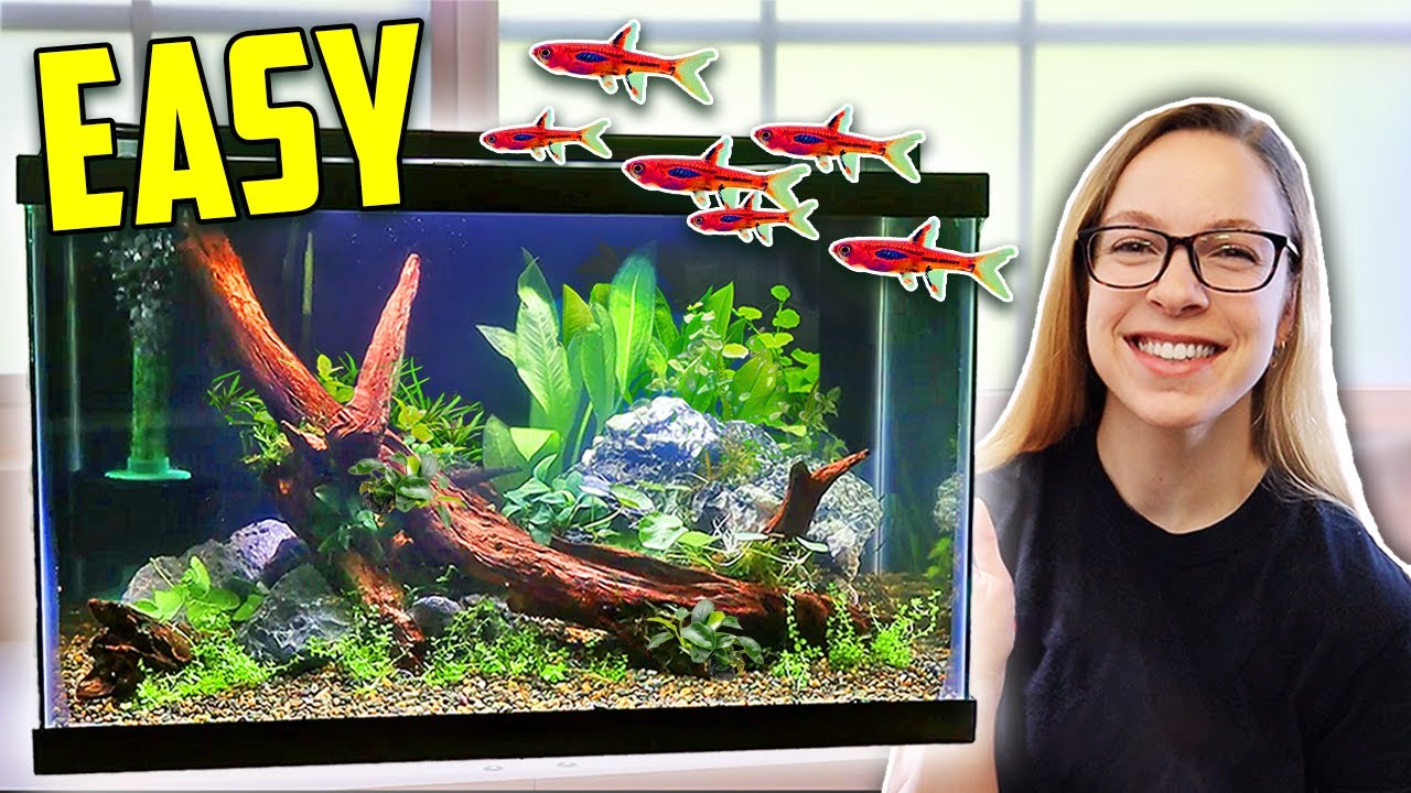 How to Set Up a 10 Gallon Planted Tank (Aquascape Tutorial) 