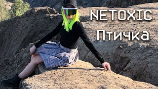 NETOXIC - Птичка (mood video)