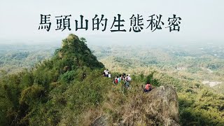 【環境開發】馬頭山的生態秘密｜反對設置掩埋場的理由(我們的島 第943集 2018-02-26)