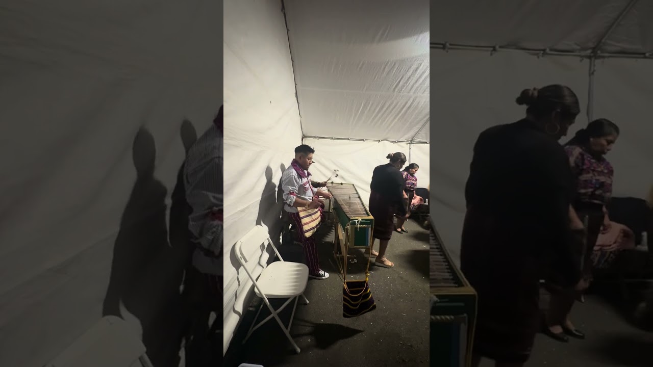 Zapateados con la marimba mejor melodía 💔😭💔😭🍺