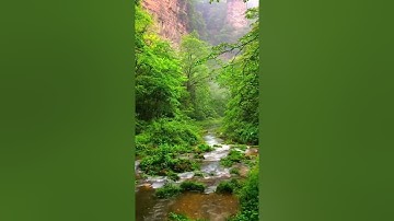 وجاءت سكرة الموت بالحق سورة ق للقارئ بشاوة قادر الكردي