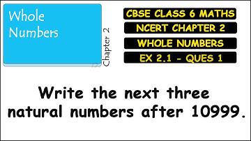 Ex 2.1 Ques 1 - Class 6 Maths NCERT Solutions | Write the next three natural numbers after 10999.