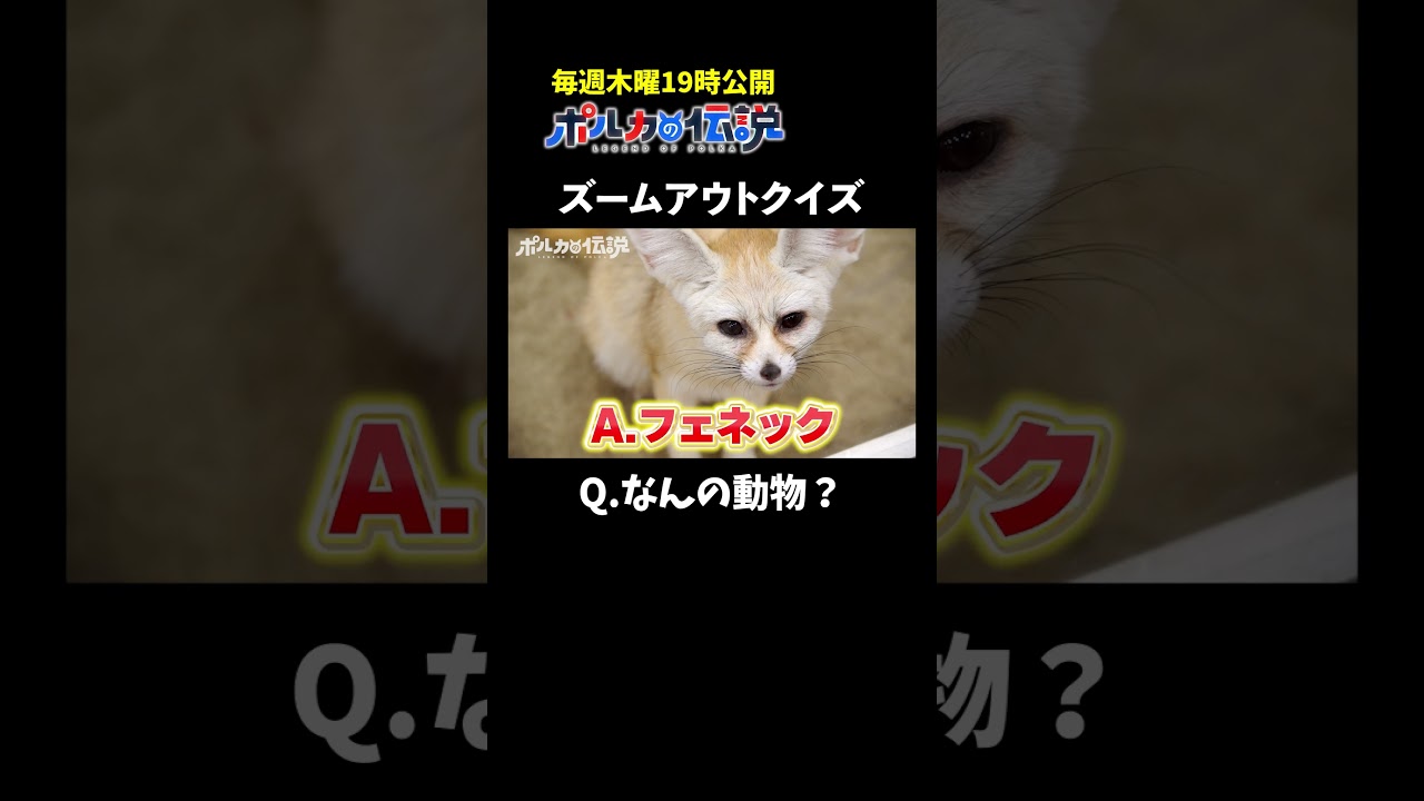 引いていく画像から正体を当てるクイズ #ポルカの伝説 #尾丸ポルカ #shorts