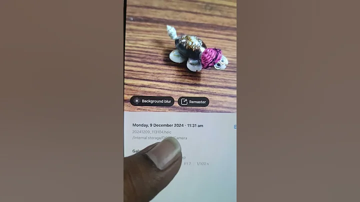 How to make samsung phones capture JPG images instead of HEIC images