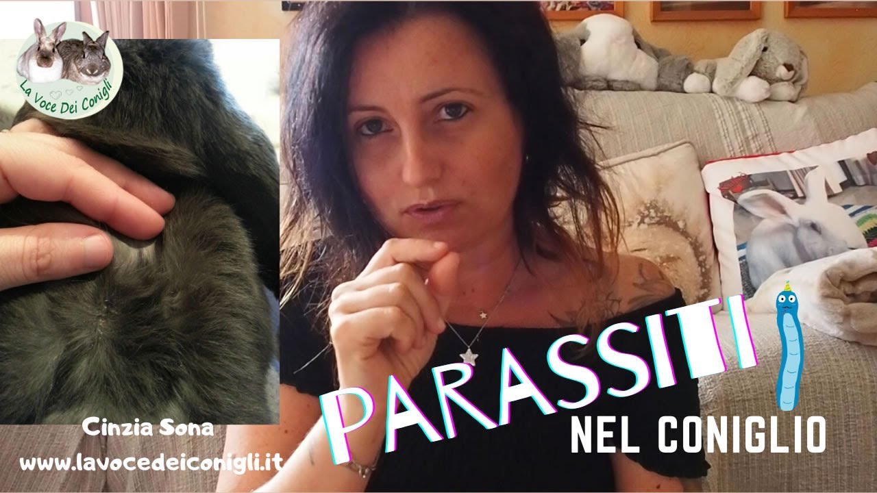 PARASSITI nel CONIGLIO (come riconoscerli e cosa fare) 