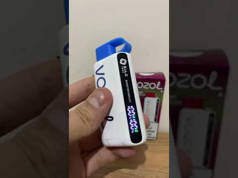 Vozol Star 12000 Puff