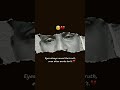 रोना चाहे रोना पाए दिल कितनामजबूर है#blocks #song #love #halloweenmusic