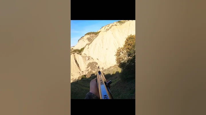 Потрясающий кадр охоты на дикого кабана#hunting#chase#challenge#