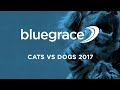 BlueGrace 2017 Cats Vs Dogs