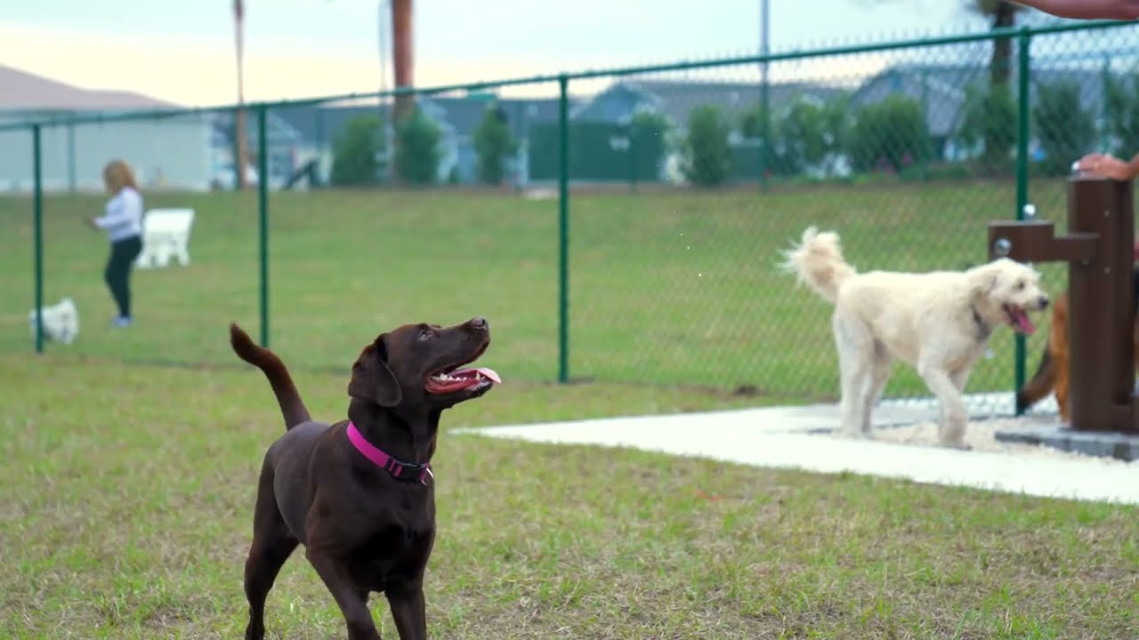 The Villages - Tour Homestead Recreation Center