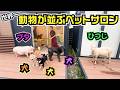 たぶん世界一動物が並ぶペットサロンがこちらです