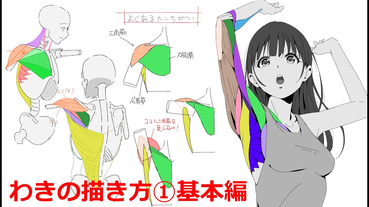 「『脇』の描き方の話」夜のお絵描き配信20231121 - Hide Channel Anatomy Upper
