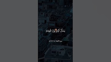 تلاوة خاشعة بصوت الشيخ ياسر الدوسري ارح سمعك