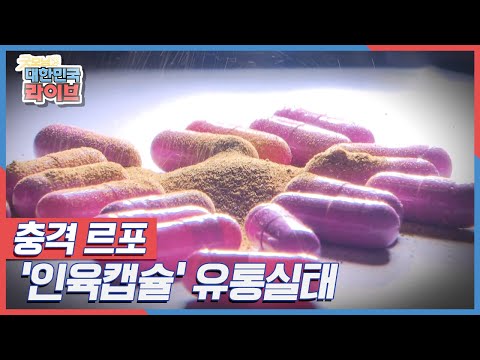 충격 <strong>르포</strong> &amp;#39;인육캡슐&amp;#39; 유통실태 KBS 141029 방송