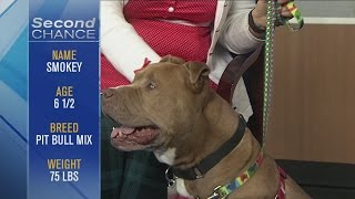 Second Chance - Smokey