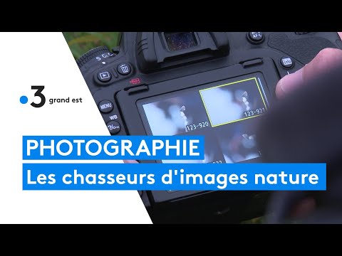 Rencontres instants nature : ces passionnées chasseurs d'images nature