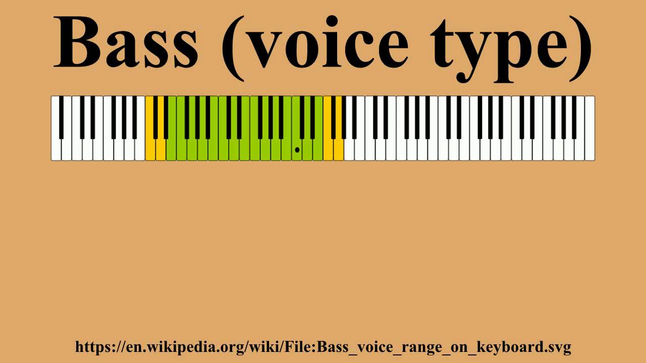 Bass (voice type)