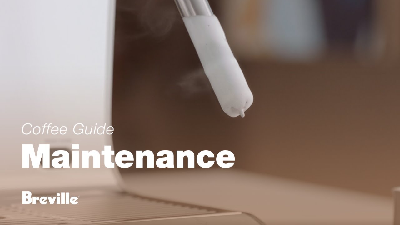 The Oracle® Touch | How to clean and unblock your steam wand | Breville USA