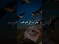 ليش الي قلبه طيب دوم خسران ستوريات الحياة 