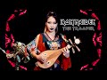 Iron maiden  the trooper on chinese traditional instruments nini music
